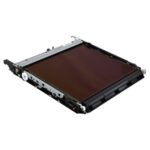 Original Image Transfer Belt Assembly