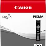 Original Dark Grey Cartridge (PGI-29DGY)