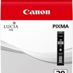 Original Light Grey Cartridge (PGI-29LGY)