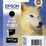 Original Photo Black Cartridge (T0961)