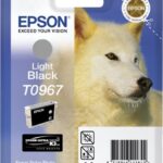Original Glossy Black Cartridge (T0967)