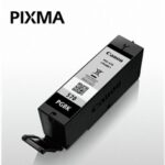 Original Black Cartridge (PGI-570PGBK)