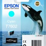 Original Cyan Cartridge (T7602)