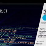 Original Cyan Cartridge (307A)