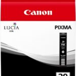 Original Photo Black Cartridge (PGI-29PBK)