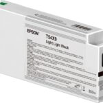 Original Light Light Black Ink Cartridge (T54X900)